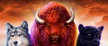 buffalo hunt buffalo hunt