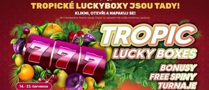 tropicky-kalendar-v-online-casinu-luckybet.jpg