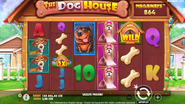 Hrací automat The Dog House Megaways