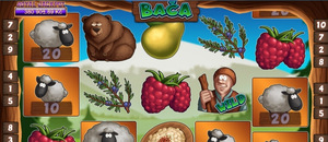 Bača Tech4Bet Bača Tech4Bet